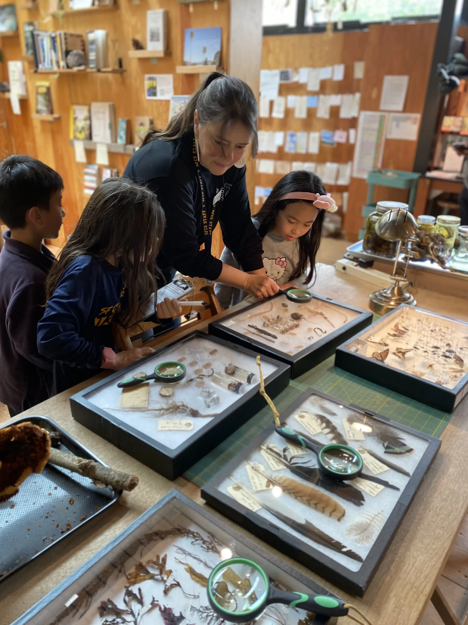 Students examining nature specimens hands-on in class